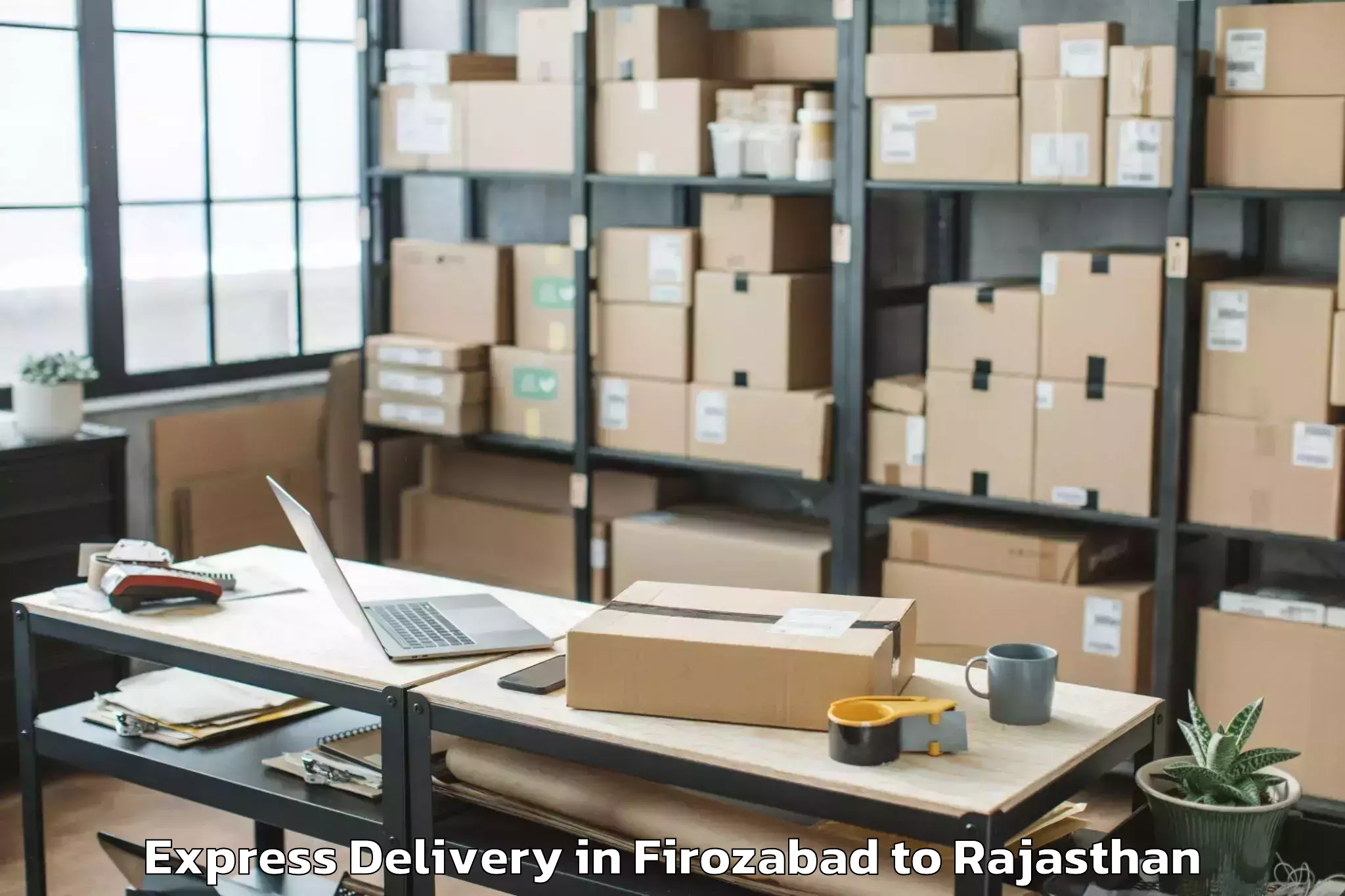 Reliable Firozabad to Kapasan Express Delivery